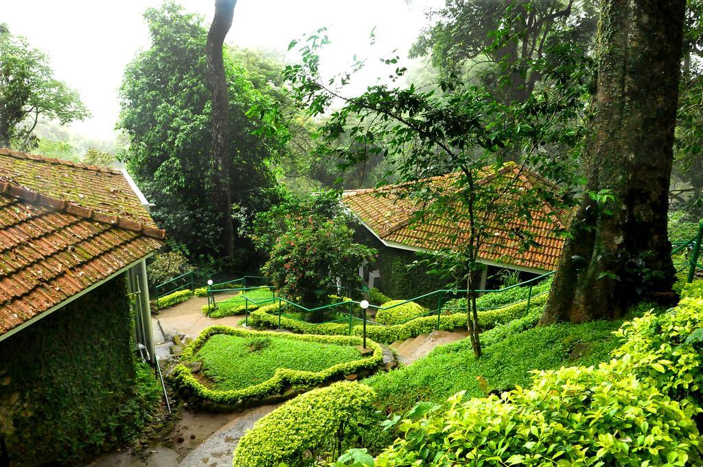 The Tall Trees Munnar Exterior foto