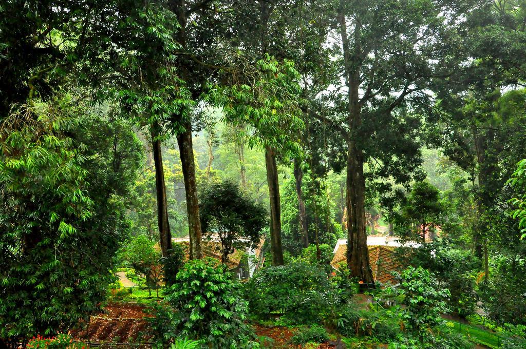 The Tall Trees Munnar Exterior foto
