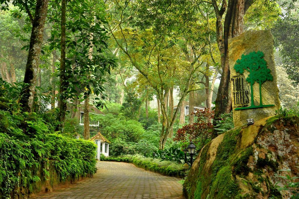 The Tall Trees Munnar Exterior foto