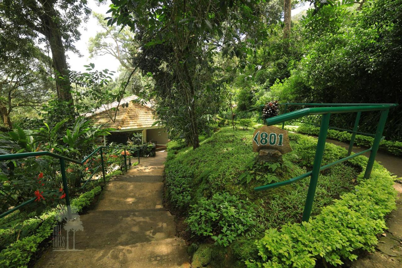 The Tall Trees Munnar Exterior foto
