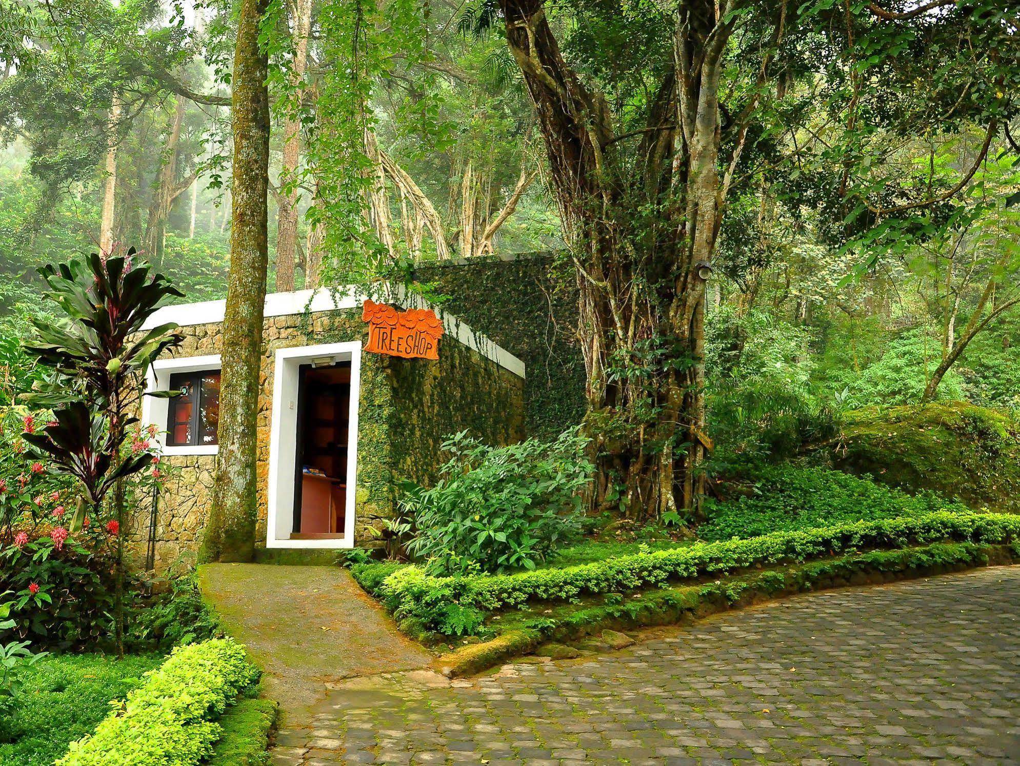 The Tall Trees Munnar Exterior foto