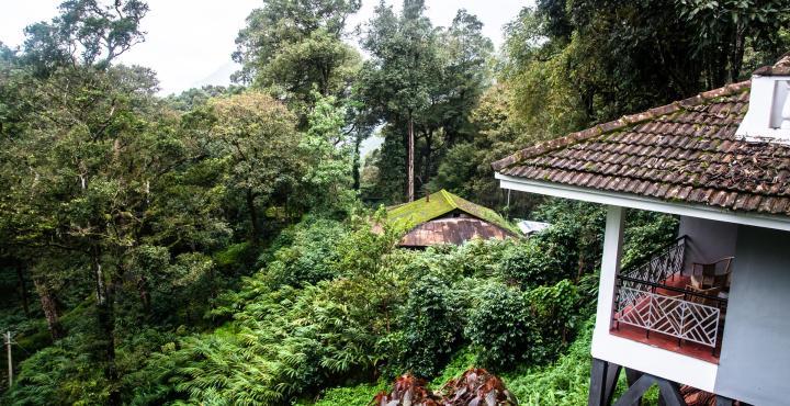 The Tall Trees Munnar Exterior foto