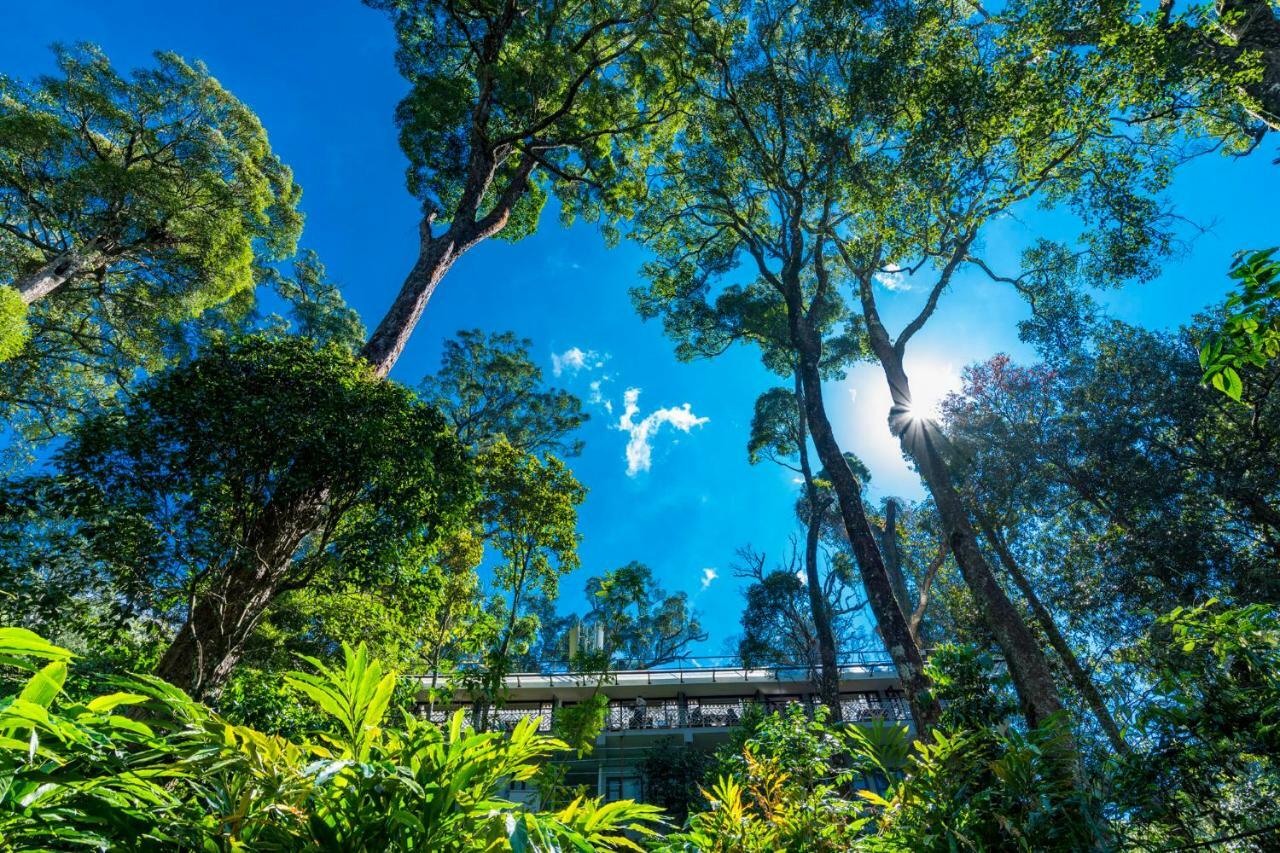 The Tall Trees Munnar Exterior foto