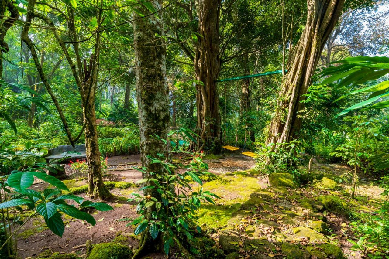 The Tall Trees Munnar Exterior foto