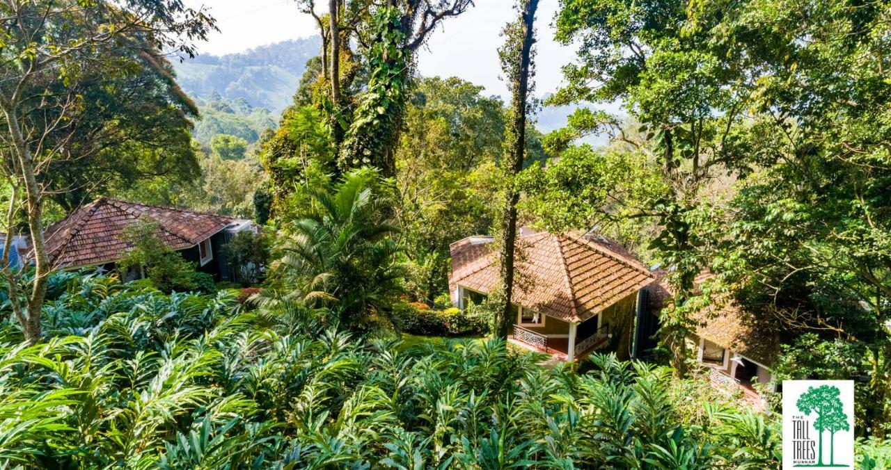 The Tall Trees Munnar Exterior foto