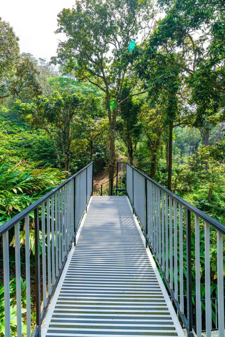 The Tall Trees Munnar Exterior foto
