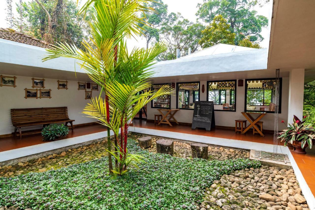 The Tall Trees Munnar Exterior foto